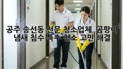 공주 송선동 전문 청소업체 ✨ 곰팡이, 냄새, 침수? 특수 청소 고민 해결!